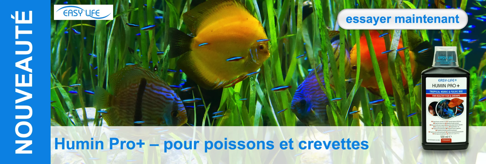 Aquarium avec des discus multicolores et des petits poissons néons bleus devant des plantes aquatiques vertes. Bouteille de produit Humin Pro+ au premier plan.