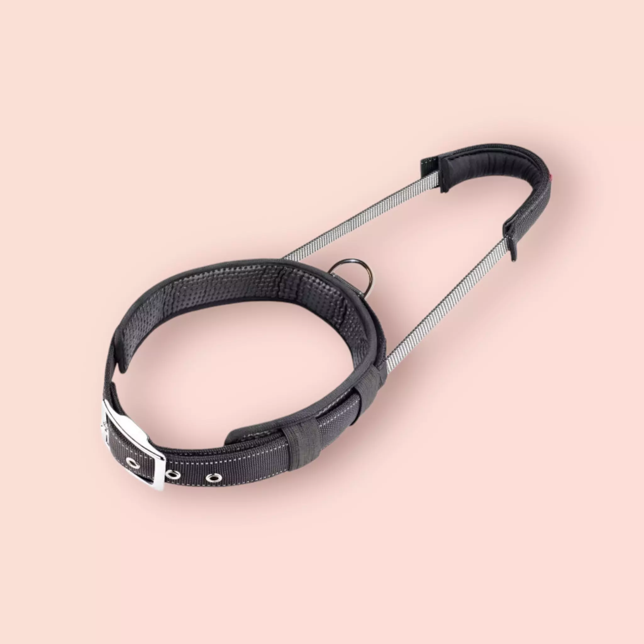 Collier avec laisse intégrée - taille M Collier avec laisse intégrée - taille M