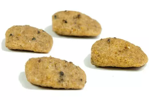 coockies-veggie-dog Kyli VegetariaDog Adult