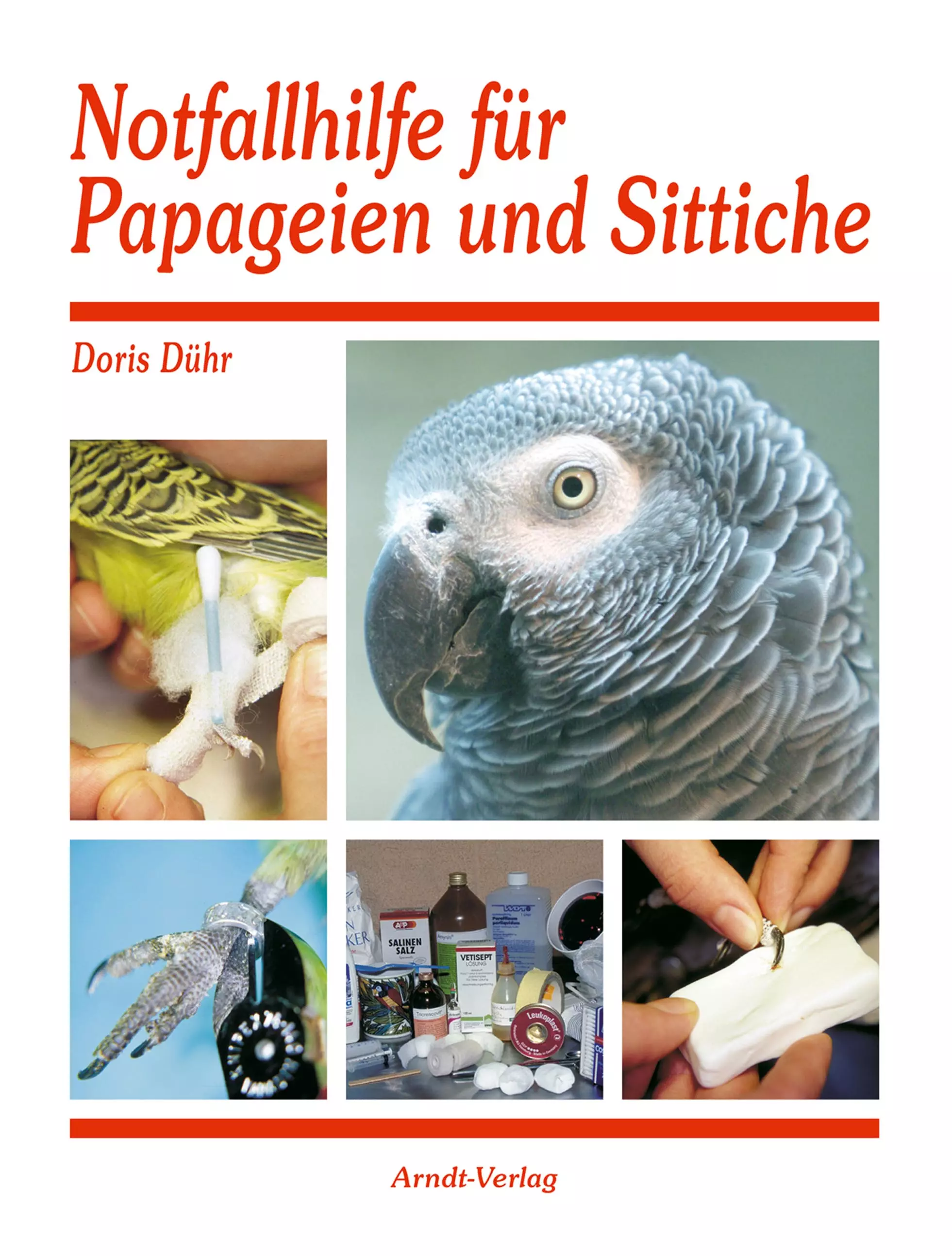 Notfallhilfe für Papageien und Sittiche
