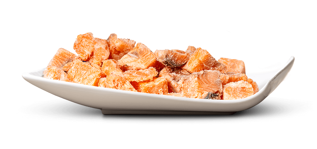 Kleine, gefrorene Würfel aus Lachsfilet mit leicht frostiger Oberfläche, sorgfältig auf einer eleganten, weißen, länglichen Servierschale präsentiert. Die kräftige orange-rosa Farbe zeigt die Qualität der Stücke.