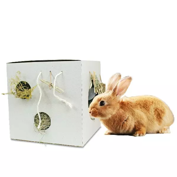 PlasticFree - Aktiv Box PlasticFree - Aktiv Box