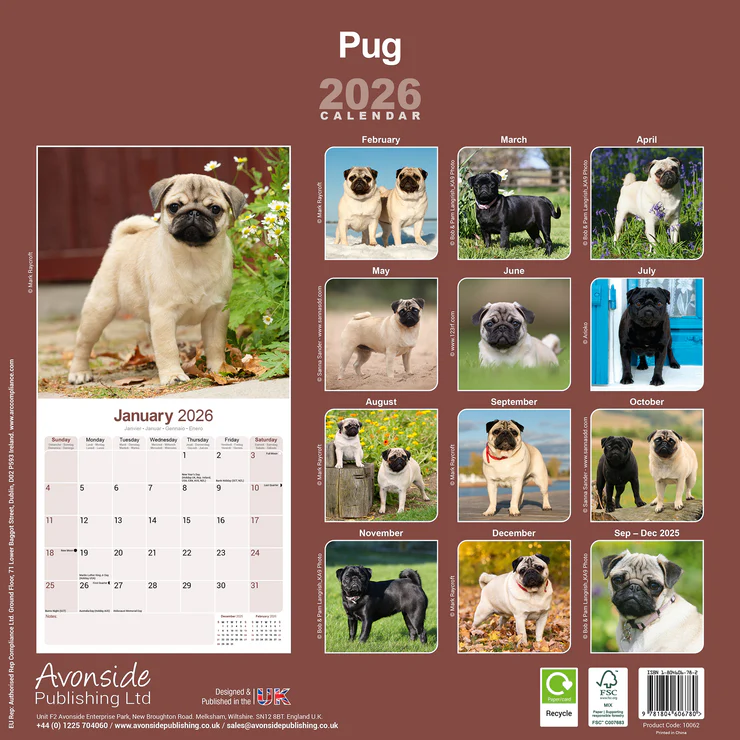 Kalender 2026 Mops - Pug - Carlin