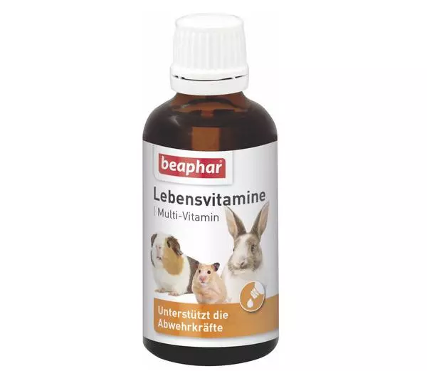 Lebensvitamine Lebensvitamine