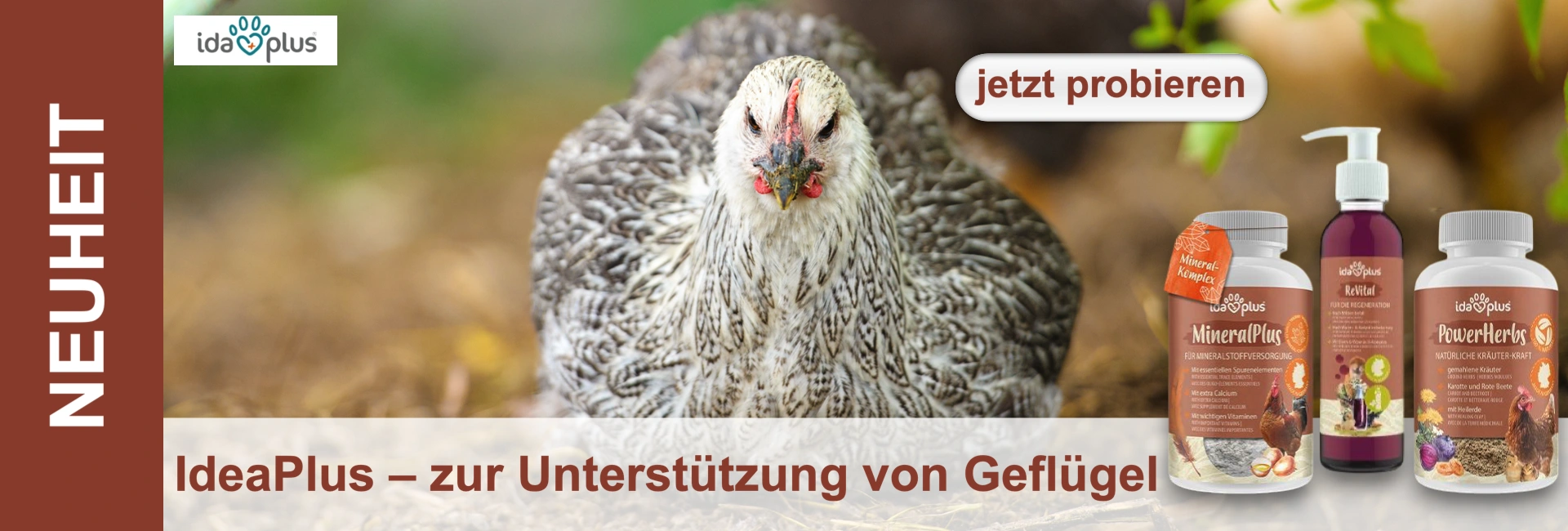 Una gallina guarda frontalmente la telecamera, affiancata da prodotti avicoli. Sullo sfondo si intravede una vegetazione verde.