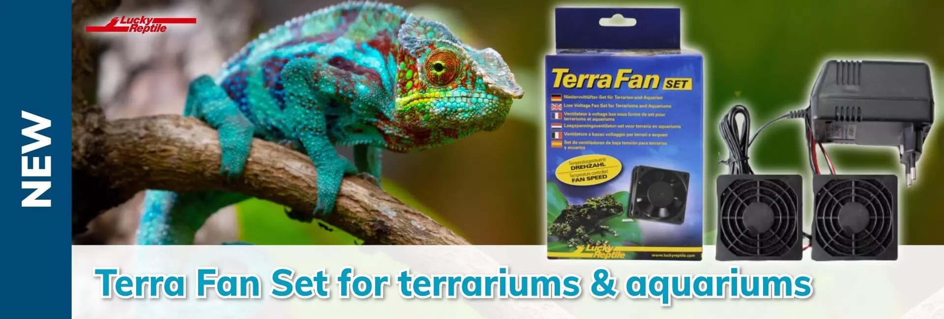 Lucky Reptile Terra Fan Set