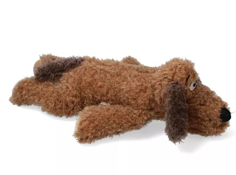 AFP Hund mit Herzschlag