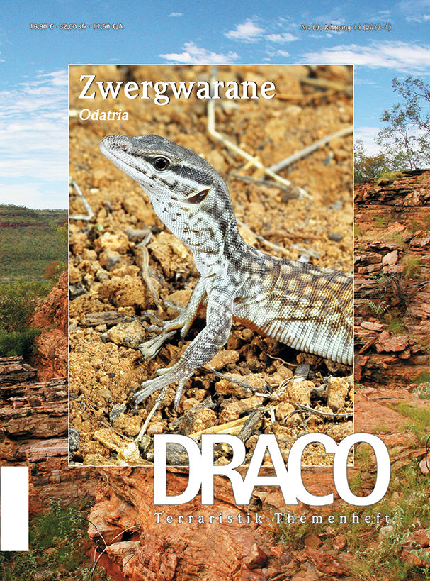 Draco 53 - Zwergwarane Odatria