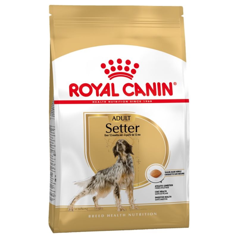 Royal Canin Hundefutter - Setter