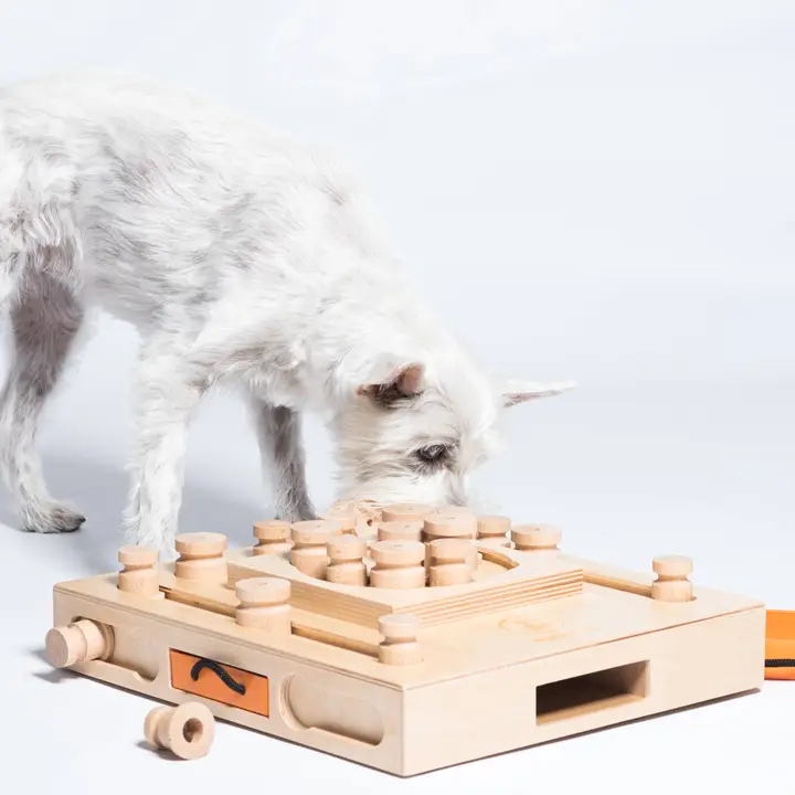 My Intelligent Pets - Turtle