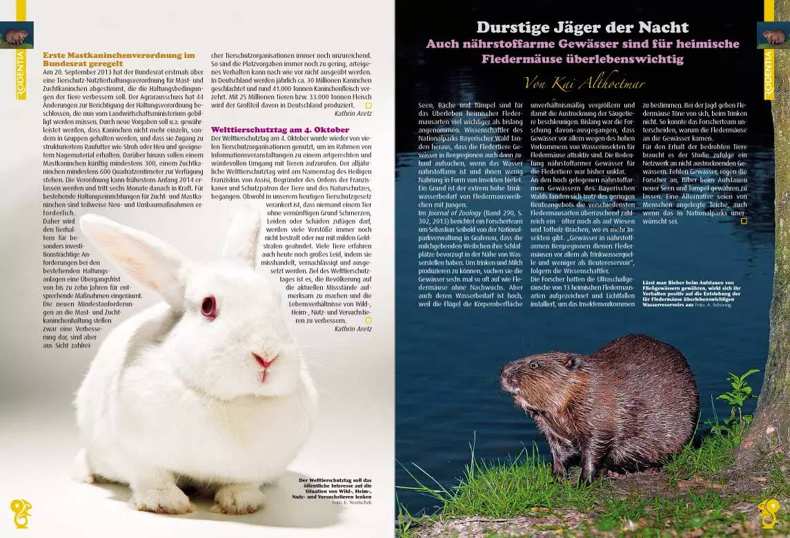 rodentia-76-freund-oder-feind-2 Rodentia 76 - Freund oder Feind?