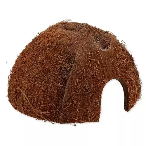 COCO SHELL 