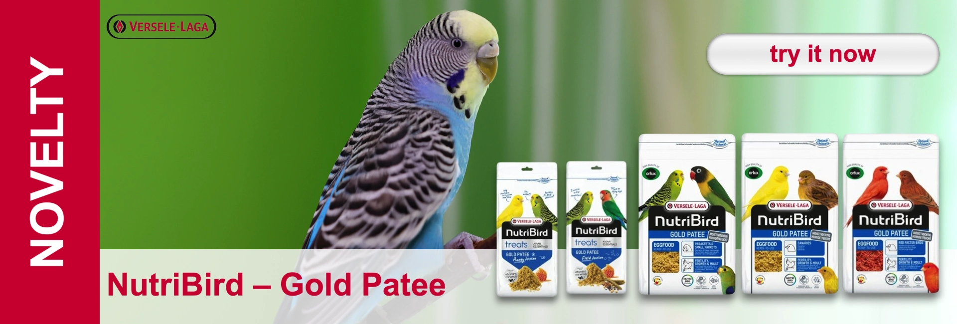 Blue budgie next to packs of NutriBird Gold Pate bird food with green, yellow and red bird illustrations on the packs.