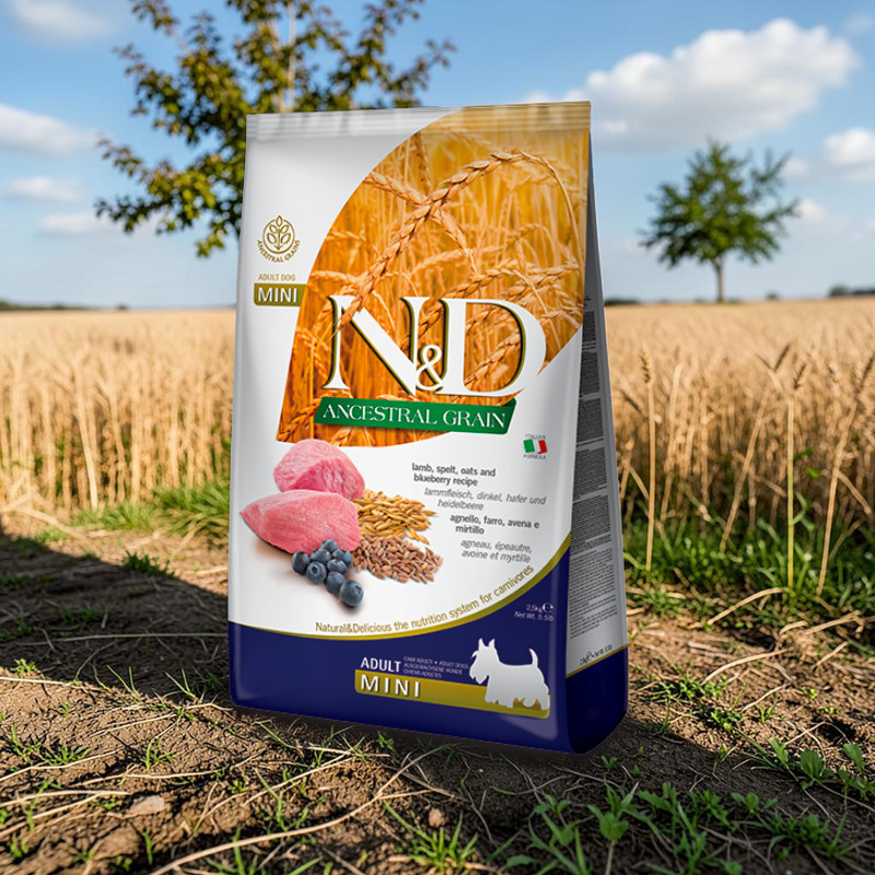 Farmina N&D Ancestral Grain Adult Mini Hundefutterbeutel in sonnigem Getreidefeld. Abgebildet sind Lammfleisch, Dinkel, Hafer und Heidelbeeren. Goldene Ähren und blauer Himmel betonen die natürliche Qualität. Für kleine Hunderassen.