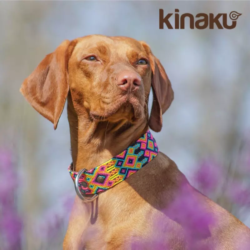 Kinakú collier mexicain Merida