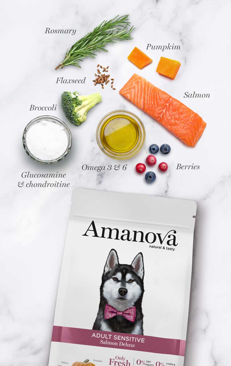amanova-dogadultsalmon-3 amanova-dogadultsalmon-3
