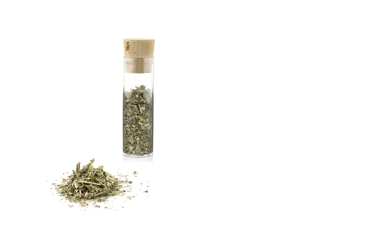  Canadian Cat catnip herb 