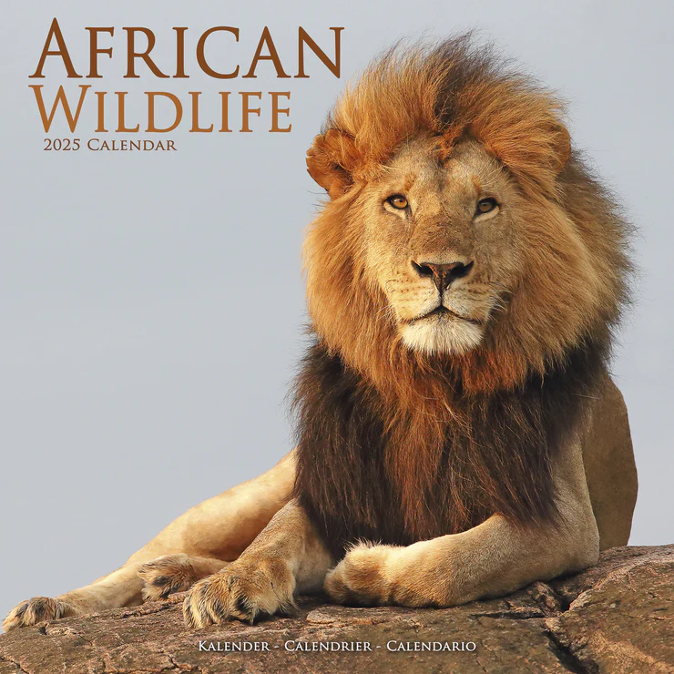 Kalender 2025 African Wildlife - Afrikanische Tiere