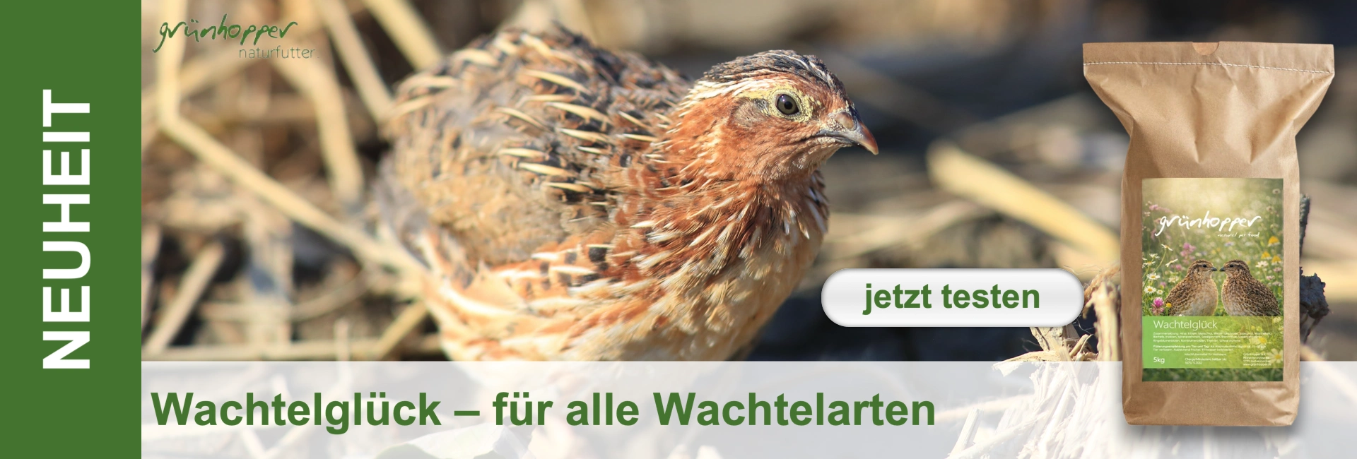 Nahaufnahme einer Wachtel mit braun-schwarzem Gefieder, blickt nach rechts. Rechts eine braune Papiertüte „grünhopper Wachtelglück“. Mittig Button „jetzt testen“. Unten „Wachtelglück – für alle Wachtelarten“, links vertikal „NEUHEIT“.