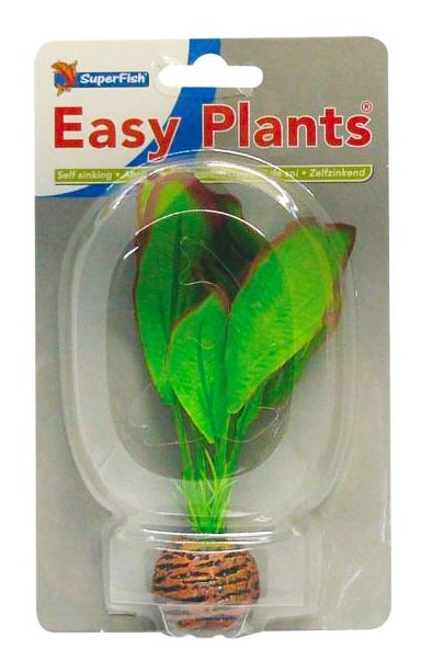 Deco Plants Echinodorus