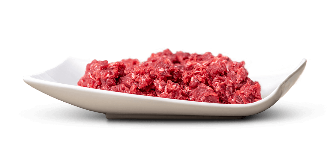Primo piano di carne macinata cruda rosso intenso, con sottili venature bianche di grasso, al centro di un piatto rettangolare in ceramica bianca dai bordi leggermente ricurvi, su sfondo bianco brillante.