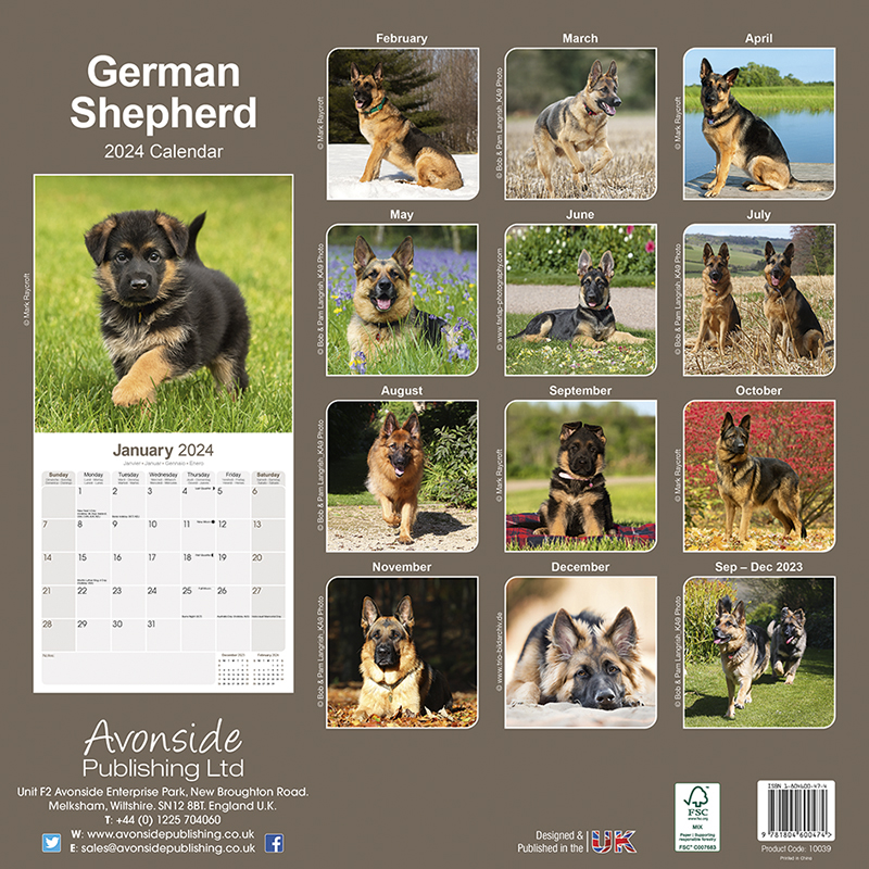 Kalender 2024 Deutscher Schäferhund - German Shepherd
