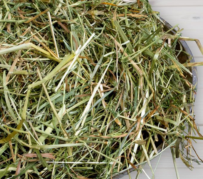 Bunny Frischgras-Heu - Natur Pur