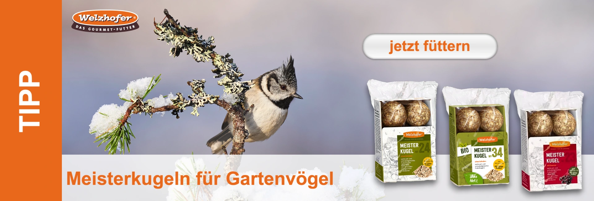 Una cincia dal ciuffo è seduta su un ramo coperto di neve. Sulla destra sono raffigurate tre confezioni di palle di grasso.