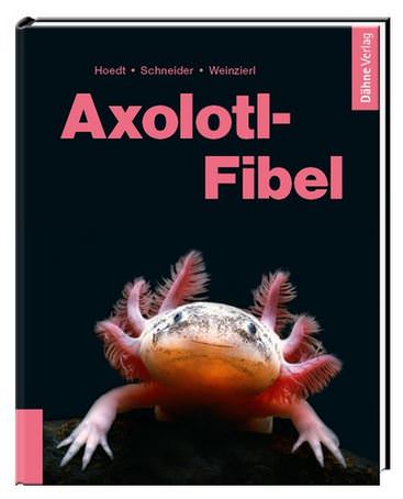 Axolotl manuel