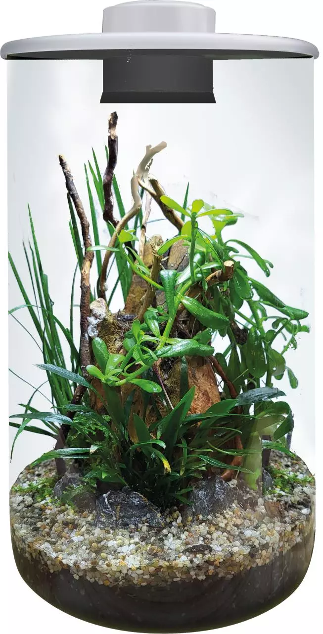 bioart-cylinder-wassergarten-weiss-1 bioart-cylinder-wassergarten-weiss-1