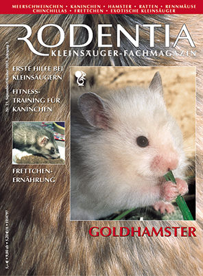 Rodentia 15 - Goldhamster