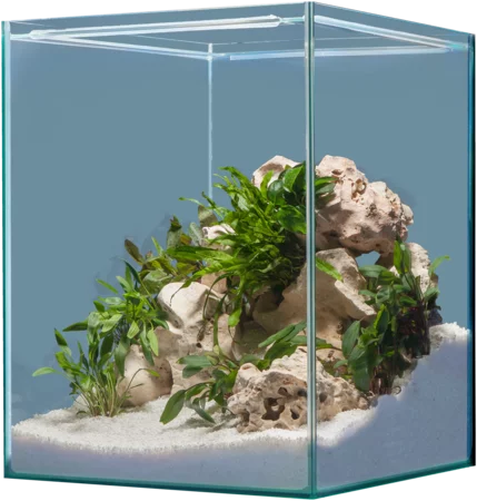 sera Hardscape Afrika