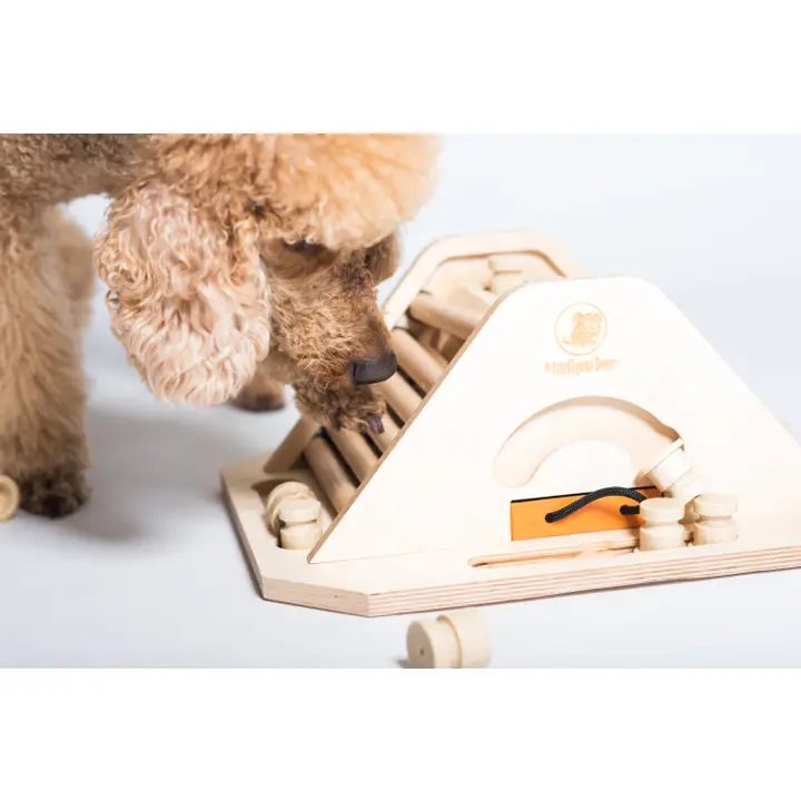 My Intelligent Pets - Pyramid