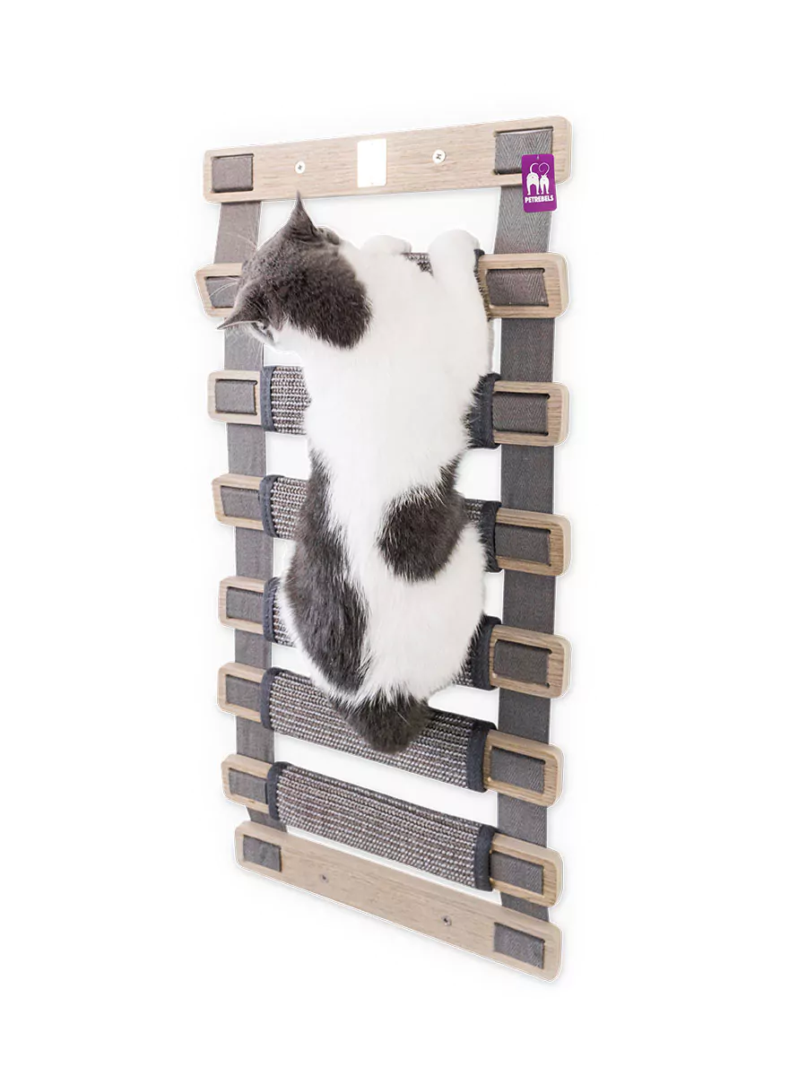 Wall of Rebels Wandleiter Ladder