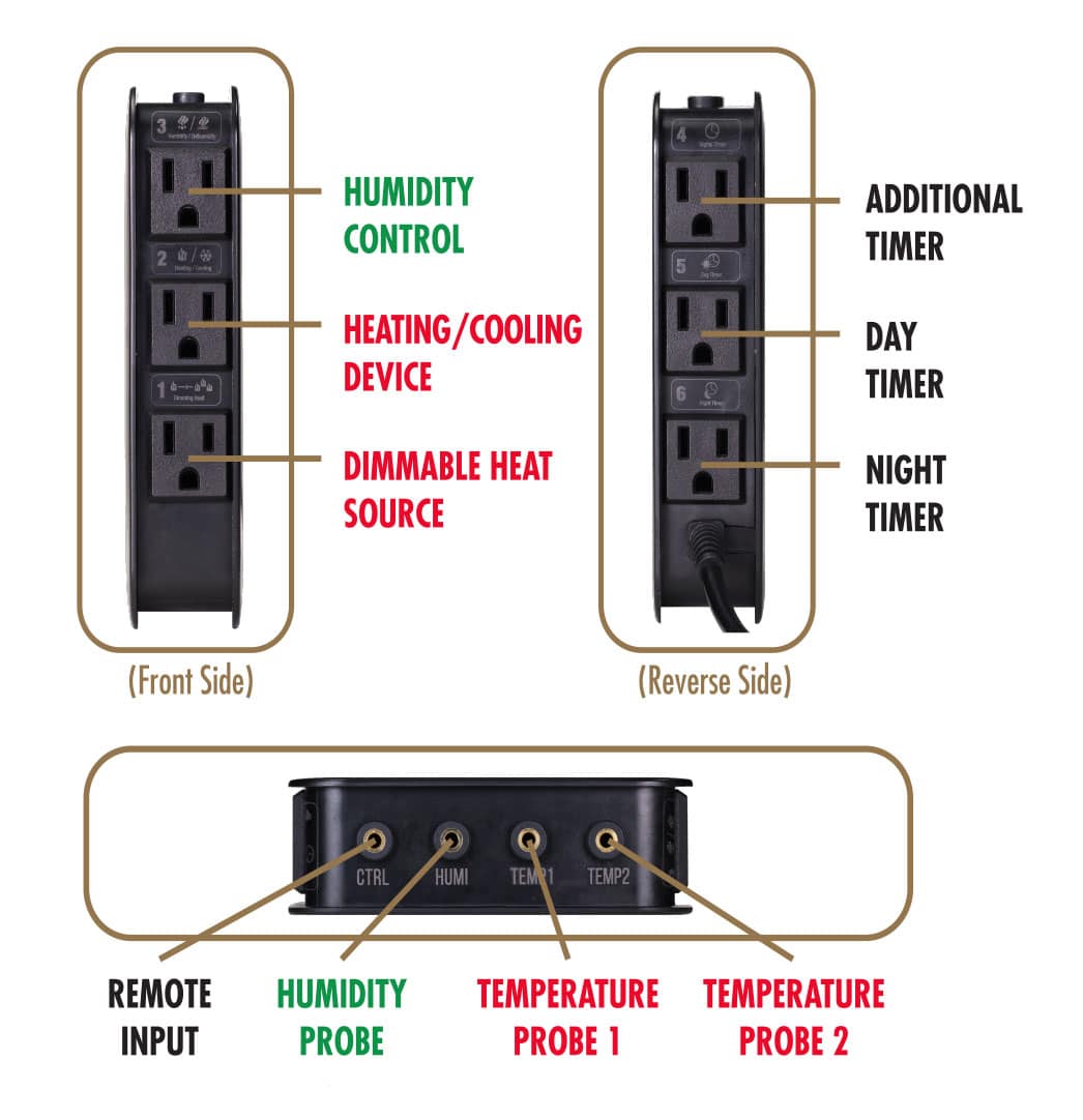 Zoo Med Centro di controllo ambientale: Centro di controllo per terrari con regolatore di umidità e temperatura, 6 slot e connessioni a spina.