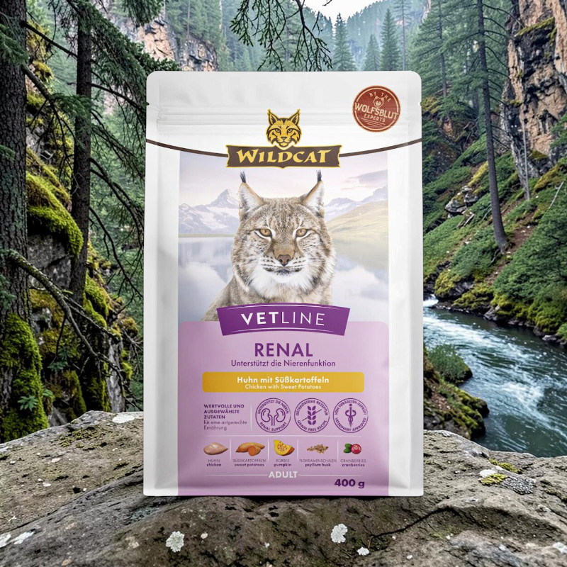 Wildcat Vetline Renal cat food on a moss-covered rock. White bag featuring a lynx, with the words ‘RENAL’ and ‘Chicken with sweet potatoes’ to support kidney function. A river and mountains in the background.