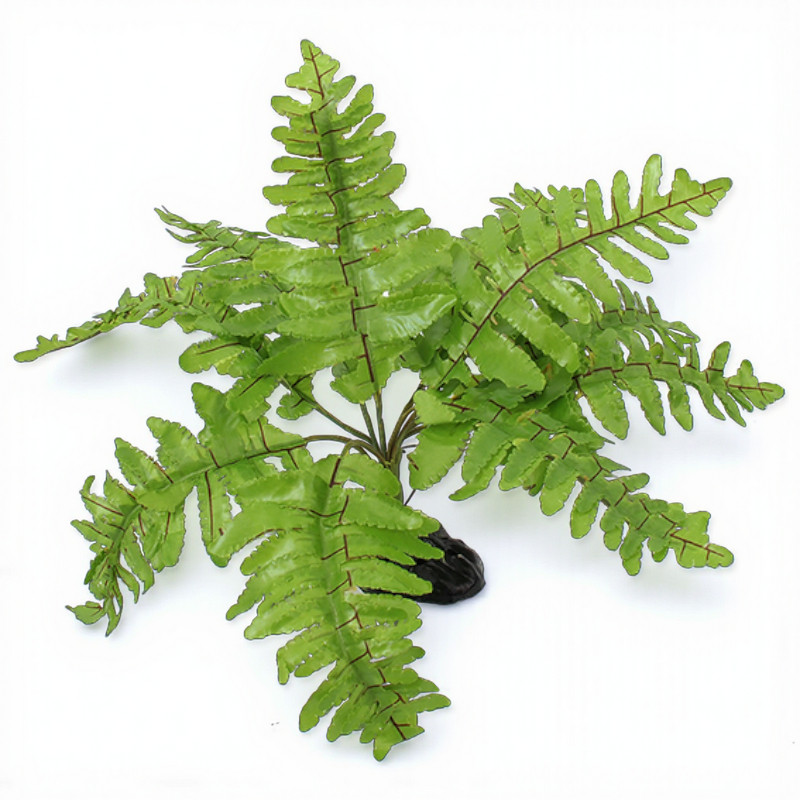 Plante artificielle Nephroiepis - 20cm Plante artificielle Nephroiepis - 20cm