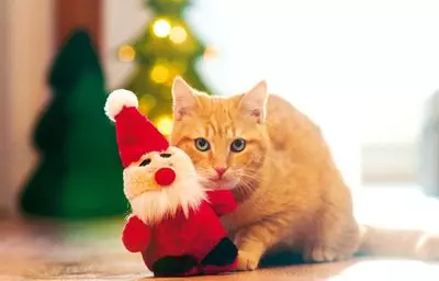 Aumüller St. Nicolas toy for cats