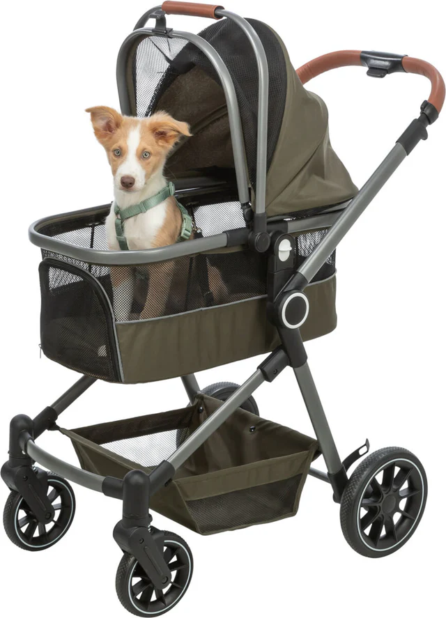 Buggy für Hunde - olivgrün - bis 22kg