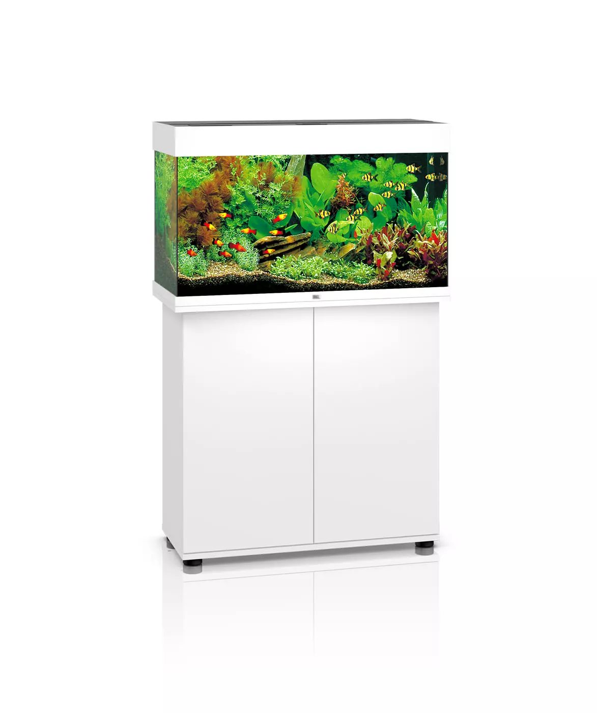rio-125-weiss Juwel Aquariumkombination Rio 125