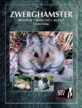 NTV Zwerghamster