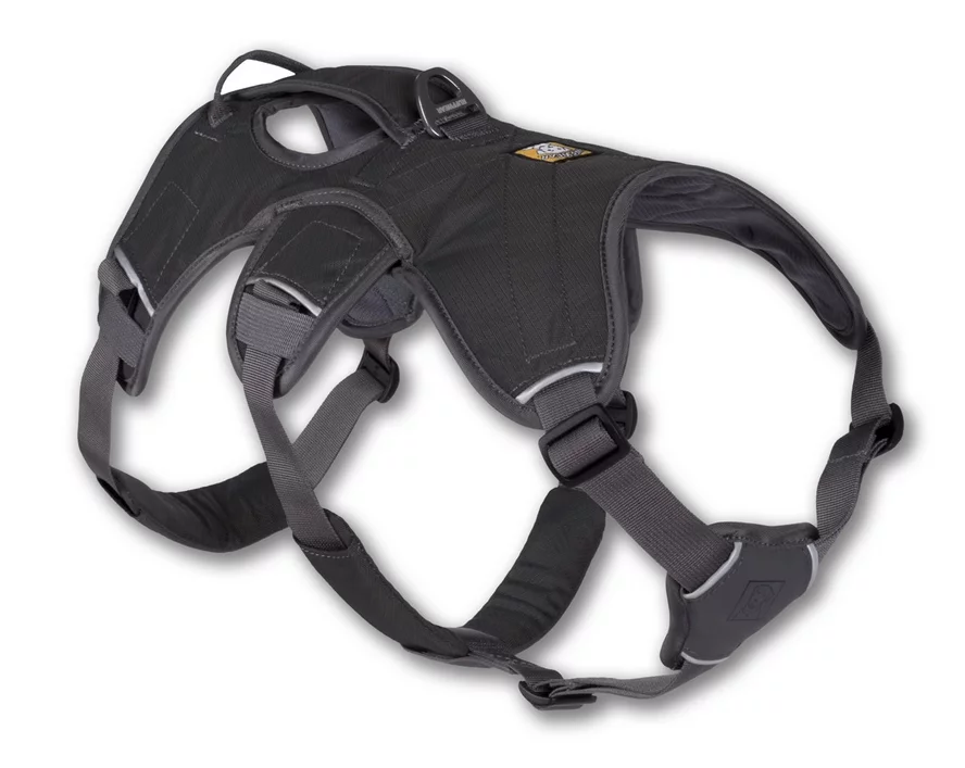 ikghuiguz Web Master Harness Twilight Gray