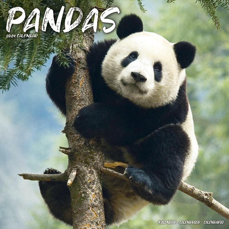 Kalender 2024 - Pandas