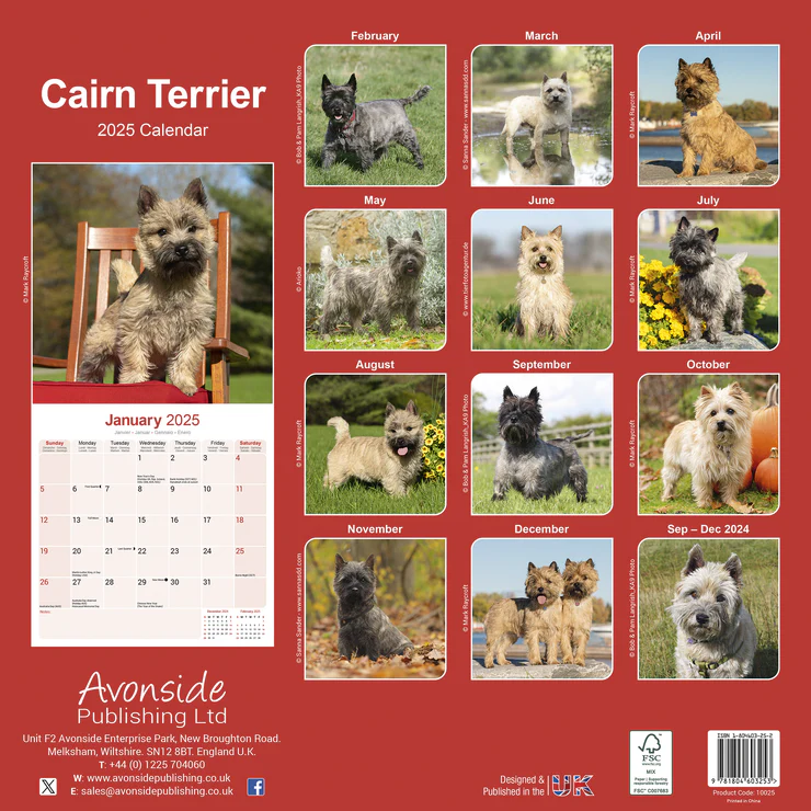 Kalender 2025 Cairn Terrier Kalender 2025 Cairn Terrier