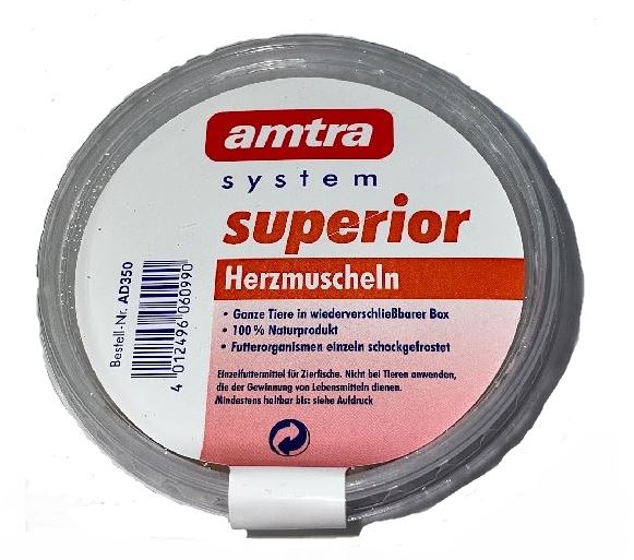 Superior Herzmuschel Becher 