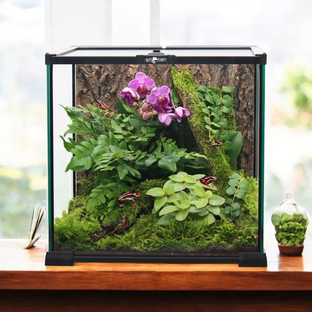Terrarium Glas 20x20x20cm
