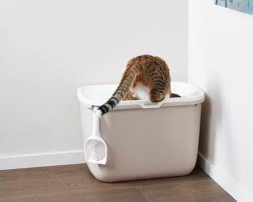 katzenklo-hop-in-2 Katzentoilette Hop in