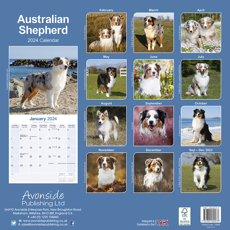 Calendar 2024 Australian Shepherd - Aussie