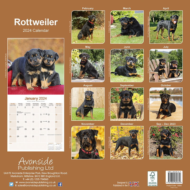 Calendar 2024 Rottweiler