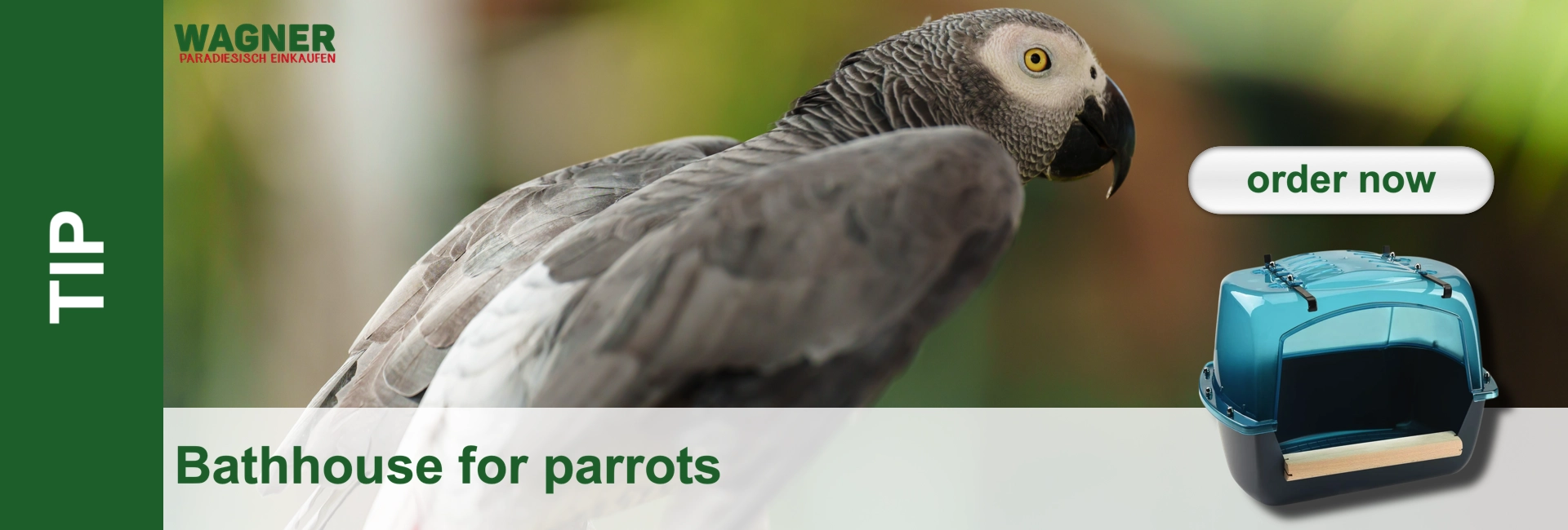A grey parrot next to a blue bathhouse for parrots and a button with "order now".